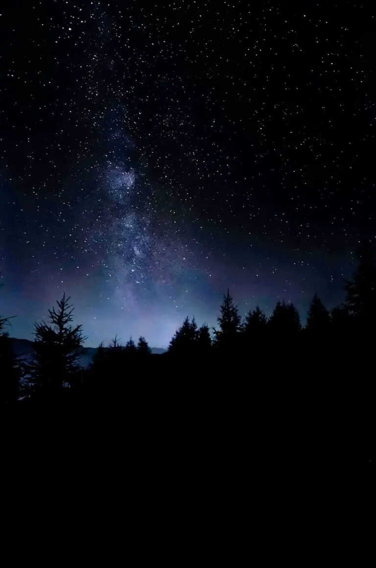 HOROSCOP – Luni, 24 august 2026: Gemenii găsesc răspunsuri la întrebări care îi frământau de mult