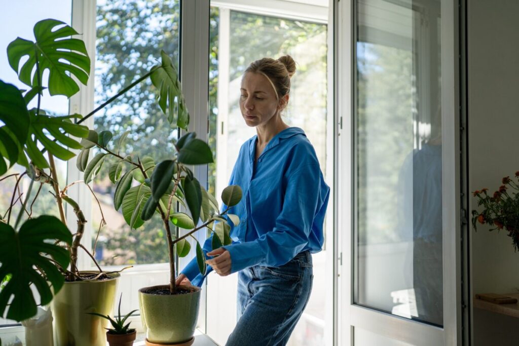 5 plante de apartament care nu suportă balconul - Corp sănătos