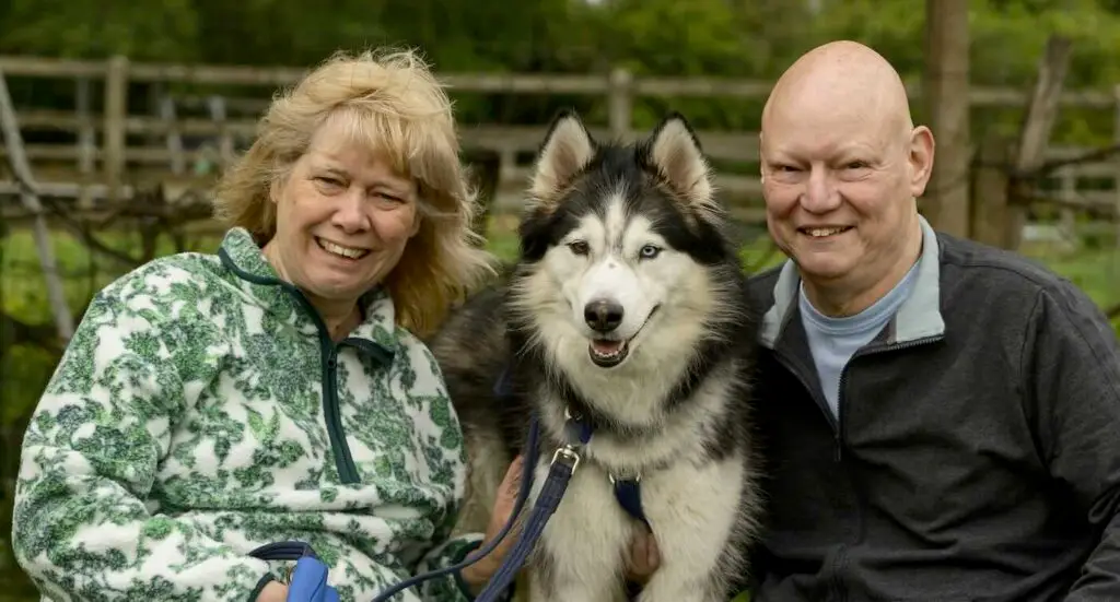 Couple Fosters 59 Dogs in Retirement: ‘We love to get them out of the kennels’