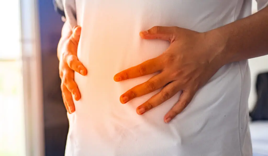 Durerea confundată cu aciditatea care poate ascunde o boală de pancreas - Corp sănătos