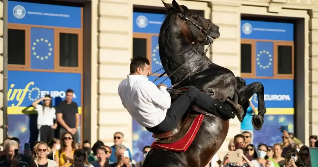 Strada de C'Arte revine în București la 15 ani de festival - Timp liber