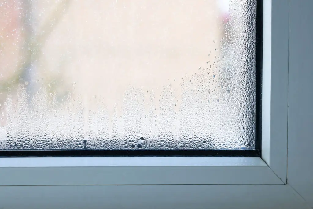 Folia cu bule pe geamuri: chiar ține cald iarna? - Corp sănătos