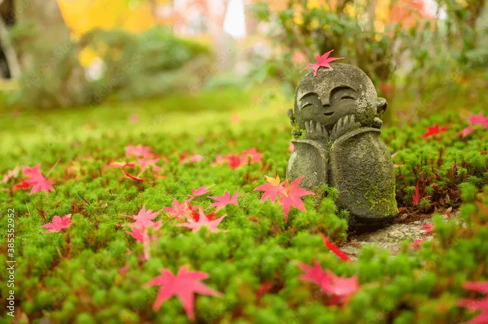 Meditația de grădină: liniște și uimire în aer liber - wellness