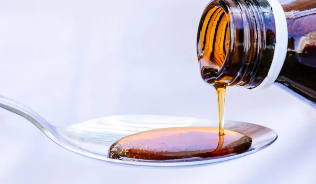 Siropul de ceapă pentru tuse seacă, cu doar trei ingrediente - Corp sănătos